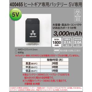 電熱グローブ ヒートインナーグローブ ヒーター...の詳細画像4