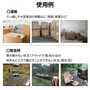 ロープホイスト 吊り上げ 450kg ウインチ...の詳細画像2