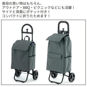 ショッピングカート 折りたたみ 保温 保冷 2...の詳細画像4