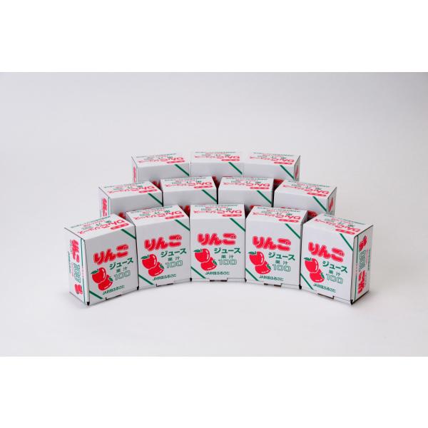 送料無料 ＪＡ秋田ふるさと 無添加 ふじ りんごジュース １０パック 箱入り×１２箱
