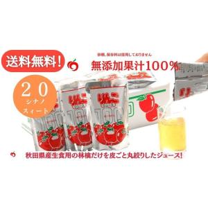 秋田県産 無添加 100% りんごジュース 60パック お中元 JA秋田ふるさと りんごジュース 20個入 無添加 100％ 送料