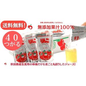 バレンタインデー JA秋田ふるさと りんごジュース 30個入 無添加 100