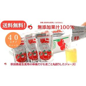 送料無料 JA秋田ふるさと無添加 ふじ りんごジュース 30パック入り