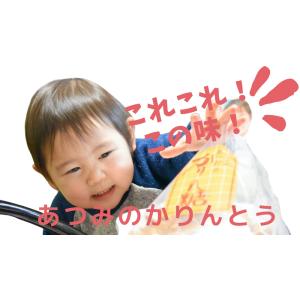 送料無料 あつみのかりんとう１５袋｜masudabussanplaning