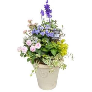 寄せ植え おしゃれ テラコッタ コンテナガーデ...の詳細画像3