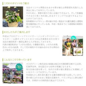 ハンギングバスケットマスターが作る 季節のおま...の詳細画像3