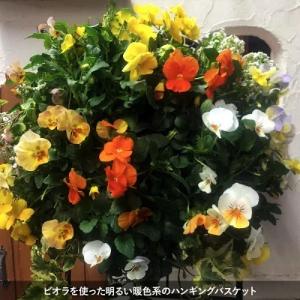 ハンギングバスケットマスターが作る 季節のおま...の詳細画像2