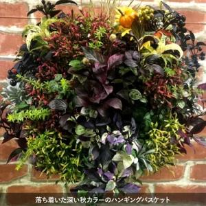 ハンギングバスケットマスターが作る 季節のおま...の詳細画像5
