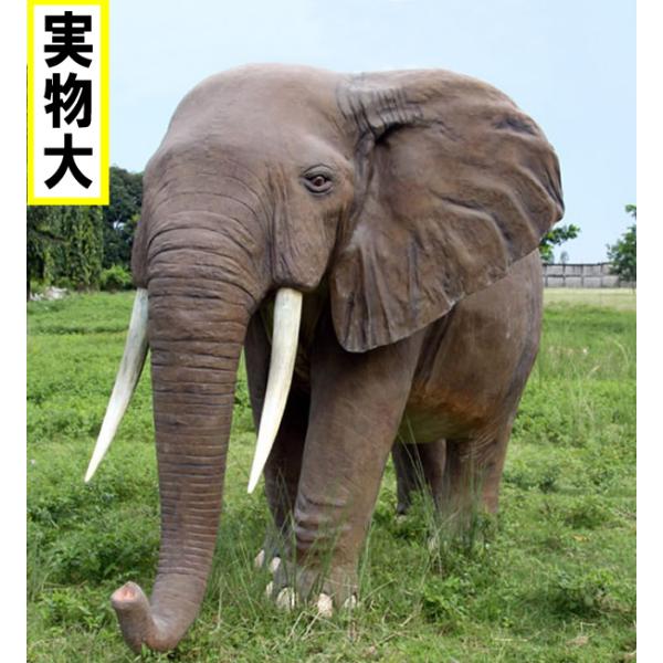 巨大 アフリカ象 実物大 ぞう ゾウ 大型 リアル アニマル フィギュア FRP 大きい オブジェ ...
