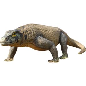 ディスプレイ fr130056 巨大 庭 ガーデニング 置物 FRP 恐竜オブジェ 巨大オオトカゲ メガラニアトカゲ 爬虫類 フィギュア 大きい 博物館 店舗 屋外 動物園