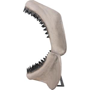 FRP恐竜オブジェ メガロドンジョーズの歯の化...の詳細画像1