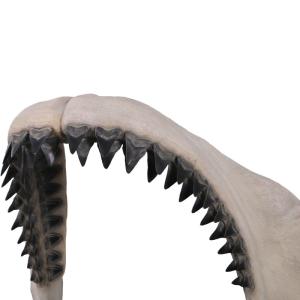 FRP恐竜オブジェ メガロドンジョーズの歯の化...の詳細画像3