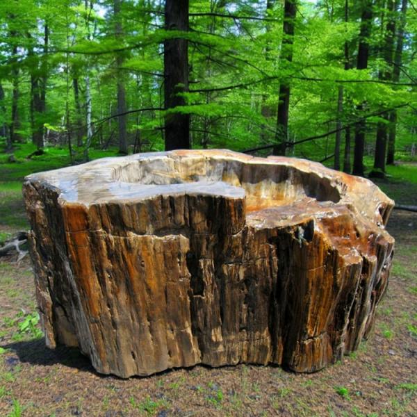 つくばい 手水鉢 水鉢 大きい 木化石 珪化木 巨大 特大 大型 豪華 庭石 天然 溜まり石 和風 ...