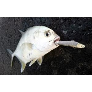 ぶるぶる50 NEVER LATE JAPAN...の詳細画像4