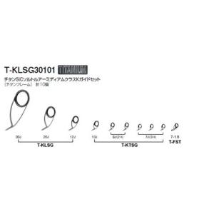 Fuji 富士工業 チタンSICルアースピニングKガイドセット T-KLSG30101｜masuoka