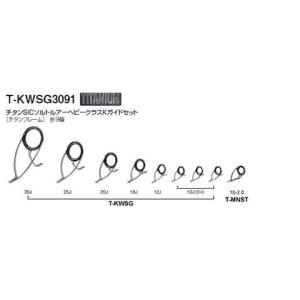 Fuji 富士工業 チタンSICルアースピニングKガイドセット T-KWSG3091