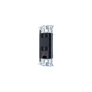 パナソニック(Panasonic) ADVANCE(アドバンス)シリーズ 埋込アースタミナル付ダブル...