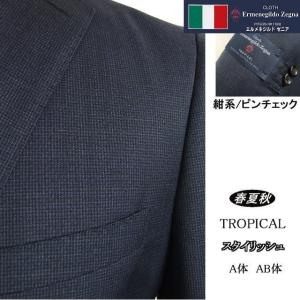 ZEGNA（ゼニア） 春夏新作 エルメネジルドゼニア トロピカル 淡灰