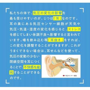 天気痛 耳栓 天気痛耳栓 佐藤純先生監修 装着...の詳細画像1