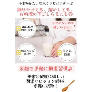 米麹 粉末 小麦粉みたいな米こうじパウダー 1...の詳細画像1