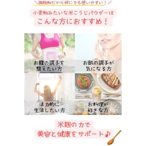 米麹 粉末 小麦粉みたいな米こうじパウダー 1...の詳細画像2