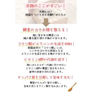 米麹 粉末 小麦粉みたいな米こうじパウダー 1...の詳細画像3