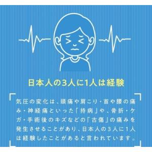 天気痛 耳栓 佐藤純先生監修 装着時にも会話が...の詳細画像5