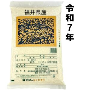 コシヒカリ 令和7年 地域限定 新潟県十日町市産 魚沼こしひかり 5kg