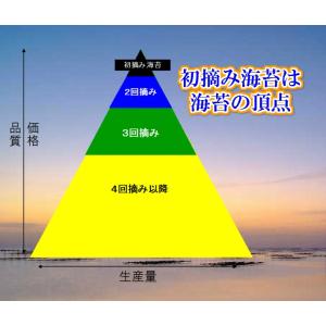 有明産初摘焼海苔【福岡有明のり「特」】2026...の詳細画像3