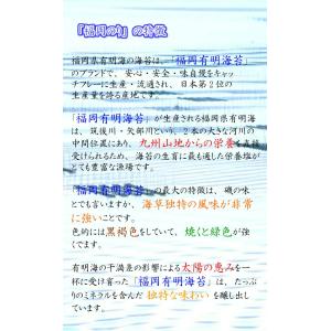 有明産初摘焼海苔【福岡有明のり「特」】2026...の詳細画像5