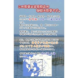 【2026年度 新海苔】【生巻海苔】【全型30...の詳細画像4
