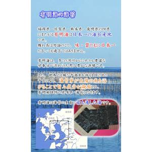 【2026年度 新海苔 入荷】【送料無料】【福...の詳細画像3