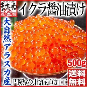 [名物商品 お中元 イクラ アラスカ産北海道加工]新鮮なアラスカ産を北海道で熟練加工した、いくら醤油漬け500g（イクラ丼約6杯分）［冷凍便/送料無料］
