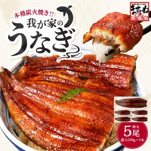 50%OFFクーポン有 実質1尾220gあたり1596円 ますよね お中元 新仔うなぎ蒲焼き220g×5尾 1.1kg 約10人前 炭火焼き 中国産 ISO/HACCP対応 食べ方解説とタレ山椒付｜masuyone