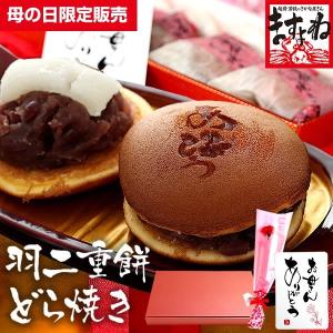 ※完売御礼※ 遅れてごめんね 配送 母の日 ギフト