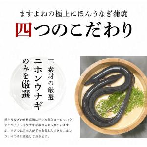 3月11日以降順次お届け ますよね うなぎ ウ...の詳細画像5