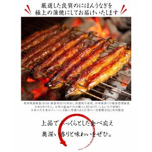 うなぎ 鰻 ますよね 特大にほんうなぎ蒲焼き ...の詳細画像4
