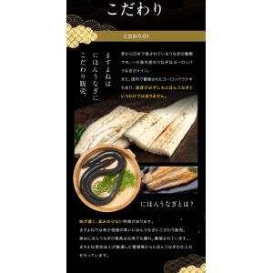 うなぎ 鰻 ますよね 特大にほんうなぎ蒲焼き ...の詳細画像5