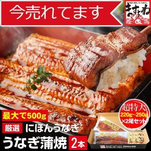 ※在庫切れ※ うなぎ 鰻 にほんうなぎ蒲焼き 超特大220g〜250g×2尾