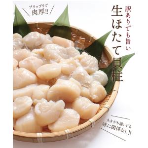 爆買 ホタテ ほたて 帆立 貝柱 ますよね お...の詳細画像5