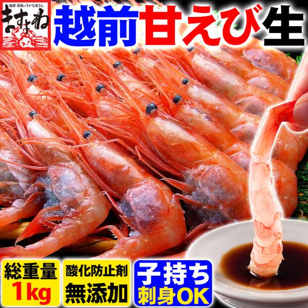 プレミアム会員6140円 エビ えび 海老 甘エビ お刺身OK 福井越前産 越前甘えび1kg 子持ち...