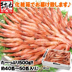 ますよね えび エビ 海老 数量限定 福井県越...の詳細画像1