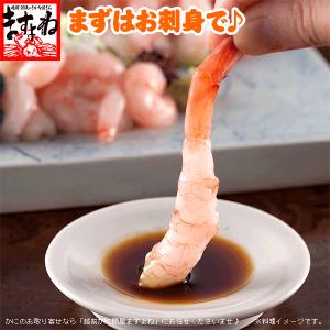 ますよね えび エビ 海老 数量限定 福井県越...の詳細画像2
