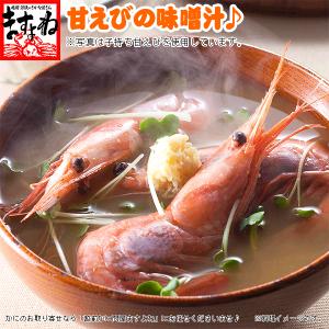 ますよね えび エビ 海老 数量限定 福井県越...の詳細画像4