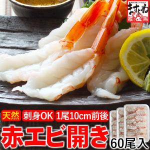 ※完売御礼※ 40%OFFクーポン有 賞味期限9月末 天然 赤えび 赤海老 エビ お刺身OK アルゼンチン産 天然の赤エビ開き60尾 20尾×3 お寿司 ちらし寿司 丼 同梱不可｜masuyone