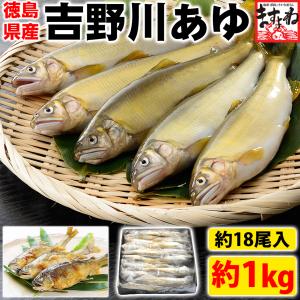 鮎 アユ あゆ 川魚 2480円セール 徳島の吉野川産 半天然