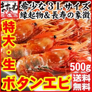 ※在庫切れ※ えび ぼたん海老 高級料亭品質＆刺し身OK！特大3Lサイズ最高級ボタンエビ生500g（8-10匹入）　長寿