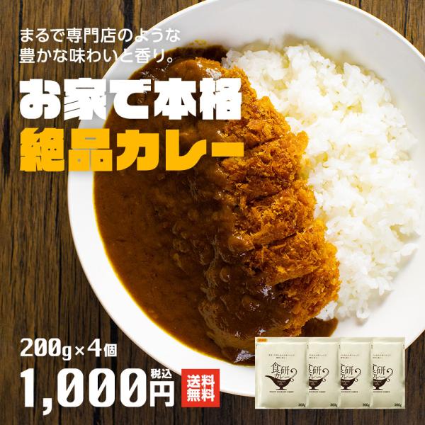 ご注文順に発送中 辛さより深み プロ仕様 日本食研カレー 200g×4袋 レトルトカレー 2種の炒め...