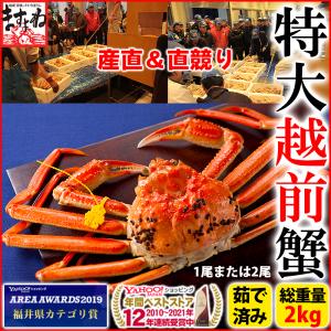 ※今季販売終了※ 新物 カニ かに 蟹 越前かに 越前蟹 直競り 産直 福井県 越前がに特大2kg 1尾2kgまたは2尾2kg ブランドタグ付 kani 魚介類 海産物 海鮮 冷蔵便｜masuyone