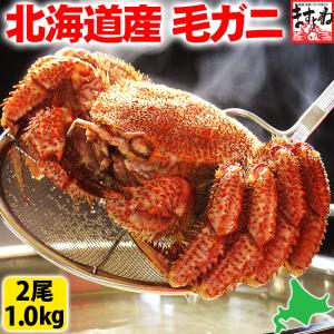 赤字処分特売セール 北海道産 毛がに ボイル済 500g前後×2 合計1kg 同梱不可 毛ガニ 毛蟹...